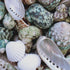 green white pearl seashell mix